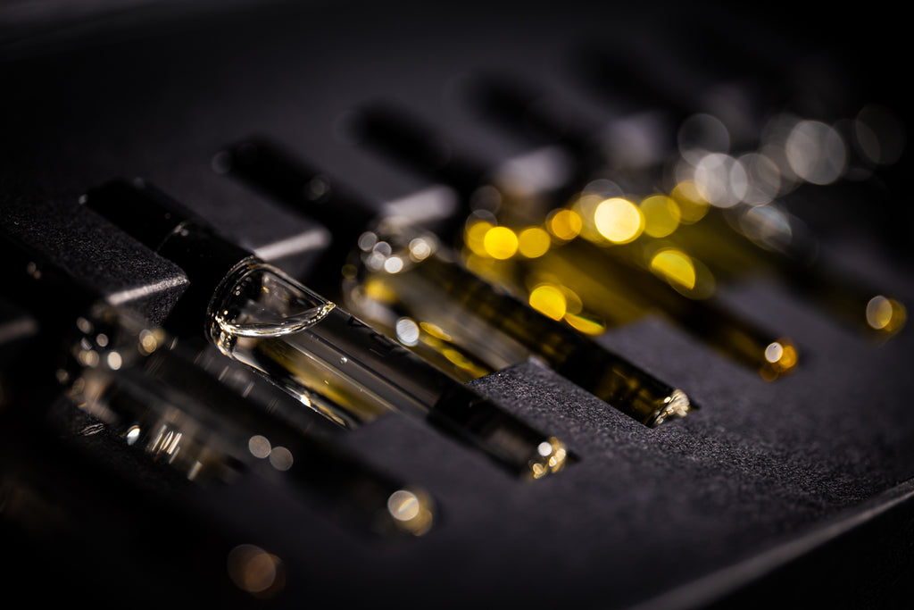 Kinetic Perfumes - Discovery Set